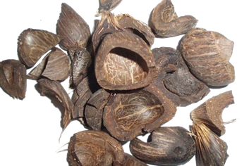 palm kernel shells